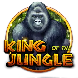 552bet jefté cassino H5